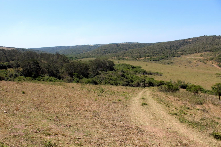 Commercial Property for Sale in Komga Rural Eastern Cape